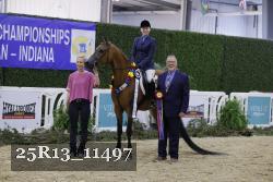 25R13_11497 thumbnail