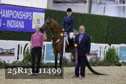 25R13_11499 thumbnail