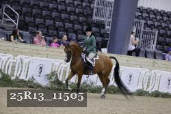 25R13_11505 thumbnail