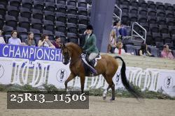 25R13_11506 thumbnail