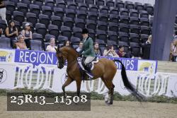 25R13_11508 thumbnail