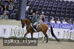 25R13_11509 thumbnail