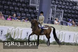 25R13_11511 thumbnail