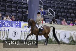 25R13_11512 thumbnail