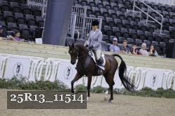 25R13_11514 thumbnail
