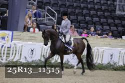 25R13_11515 thumbnail