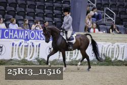 25R13_11516 thumbnail