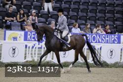 25R13_11517 thumbnail