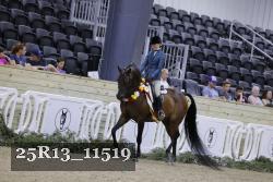 25R13_11519 thumbnail