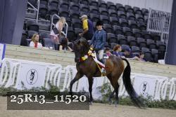 25R13_11520 thumbnail