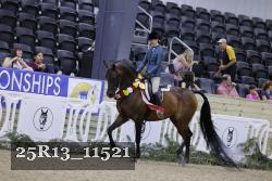 25R13_11521 thumbnail