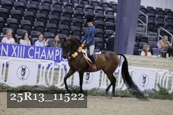 25R13_11522 thumbnail