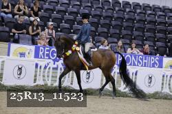 25R13_11523 thumbnail