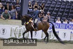 25R13_11524 thumbnail