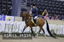 25R13_11526 thumbnail