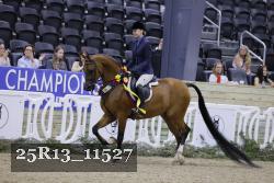 25R13_11527 thumbnail