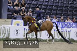 25R13_11528 thumbnail