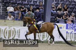 25R13_11529 thumbnail