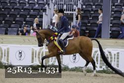 25R13_11531 thumbnail