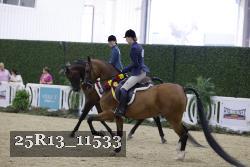 25R13_11533 thumbnail