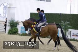 25R13_11534 thumbnail