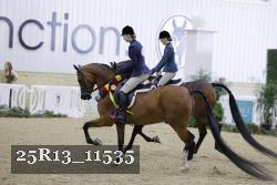 25R13_11535 thumbnail