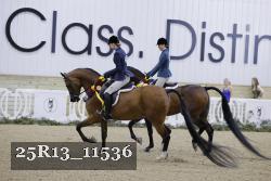25R13_11536 thumbnail