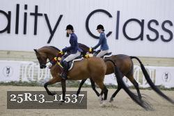25R13_11537 thumbnail