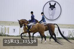 25R13_11538 thumbnail