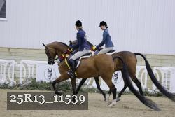 25R13_11539 thumbnail