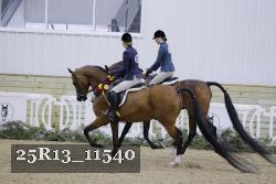 25R13_11540 thumbnail