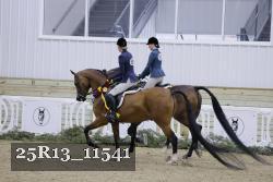 25R13_11541 thumbnail