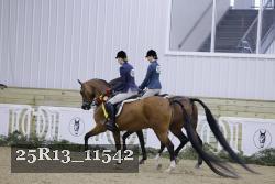 25R13_11542 thumbnail