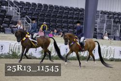 25R13_11545 thumbnail