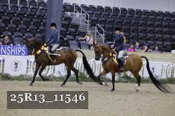 25R13_11546 thumbnail