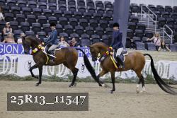 25R13_11547 thumbnail