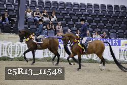25R13_11548 thumbnail