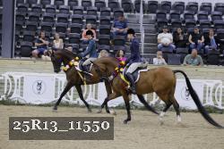 25R13_11550 thumbnail