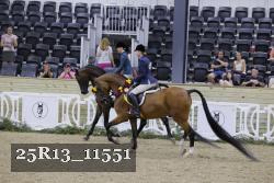 25R13_11551 thumbnail