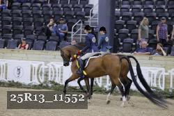 25R13_11552 thumbnail
