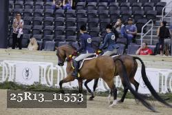 25R13_11553 thumbnail