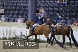 25R13_11554 thumbnail