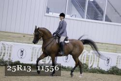 25R13_11556 thumbnail