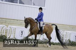 25R13_11557 thumbnail