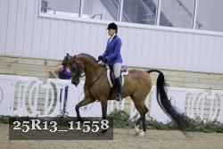 25R13_11558 thumbnail