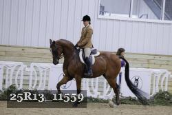 25R13_11559 thumbnail