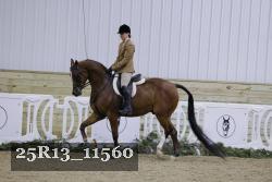 25R13_11560 thumbnail