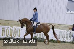25R13_11561 thumbnail