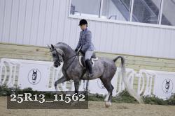 25R13_11562 thumbnail