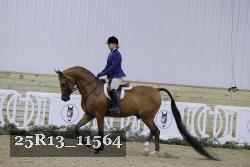 25R13_11564 thumbnail